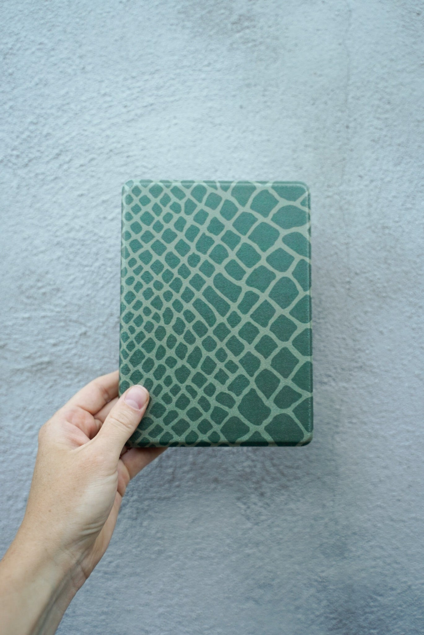 THE HIGH REEVE | KINDLE CASE