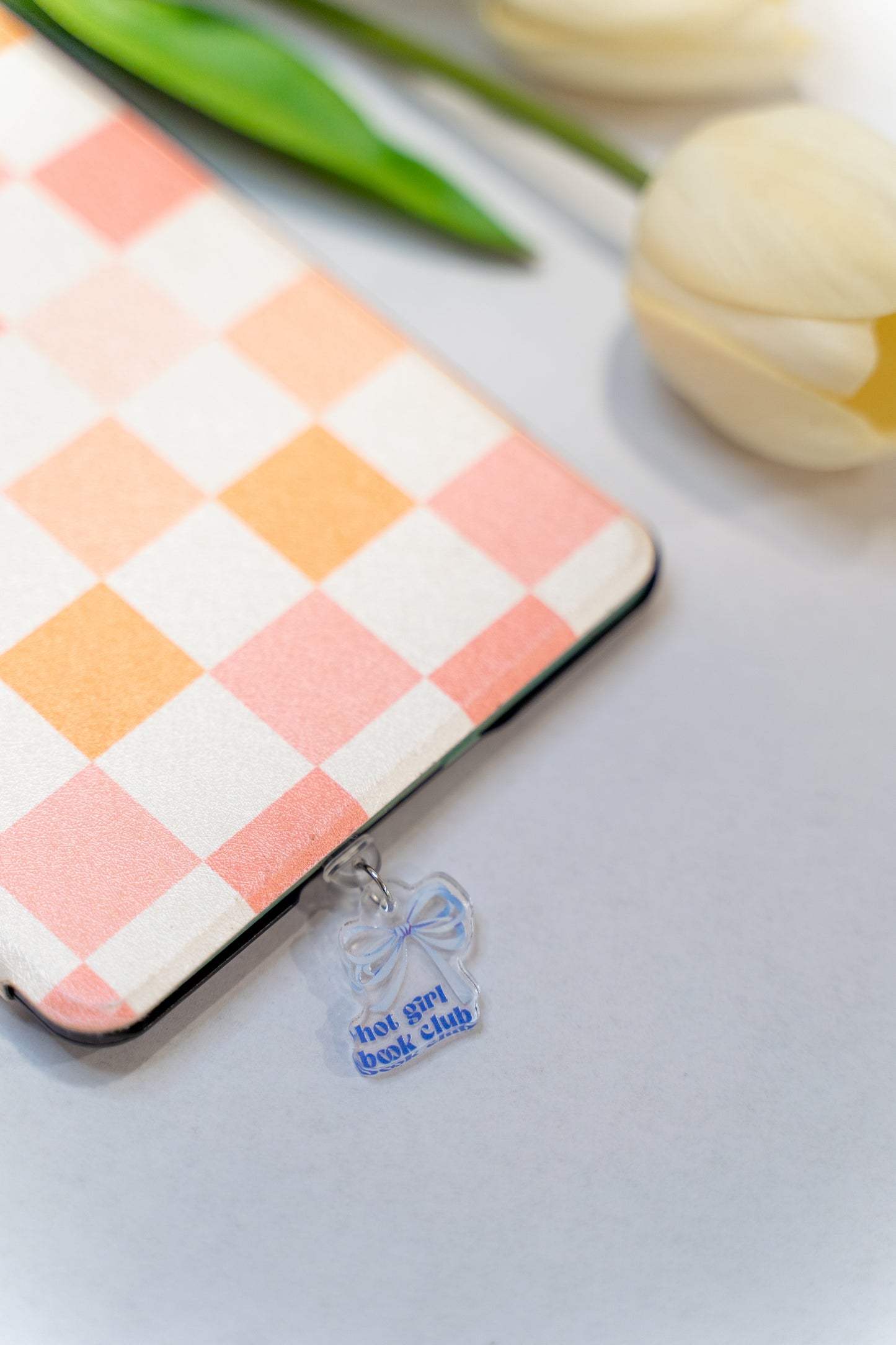 ACRYLIC CHARMS | KINDLE DUST PLUGS